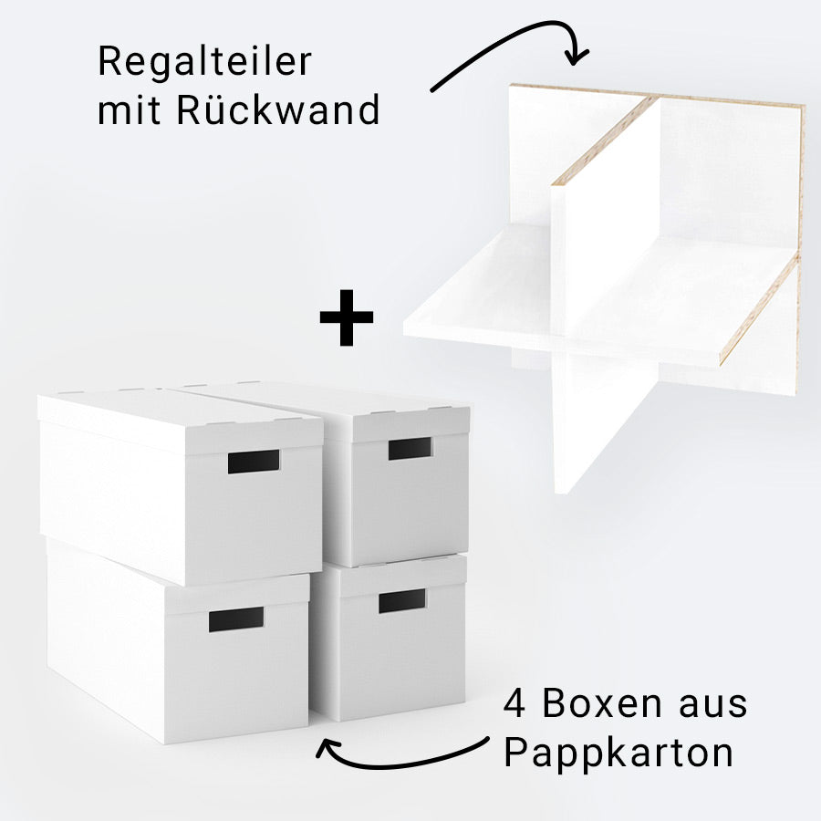 4 Boxen aus Pappkarton und einen Einsatz mit Rückwand für das Kallax Regal von IKEA.